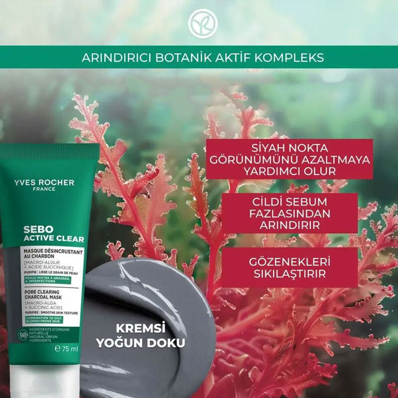 Purifying Charcoal Mask - Blackhead & Pore Minimizing with Succinic Acid - TryAladdin
