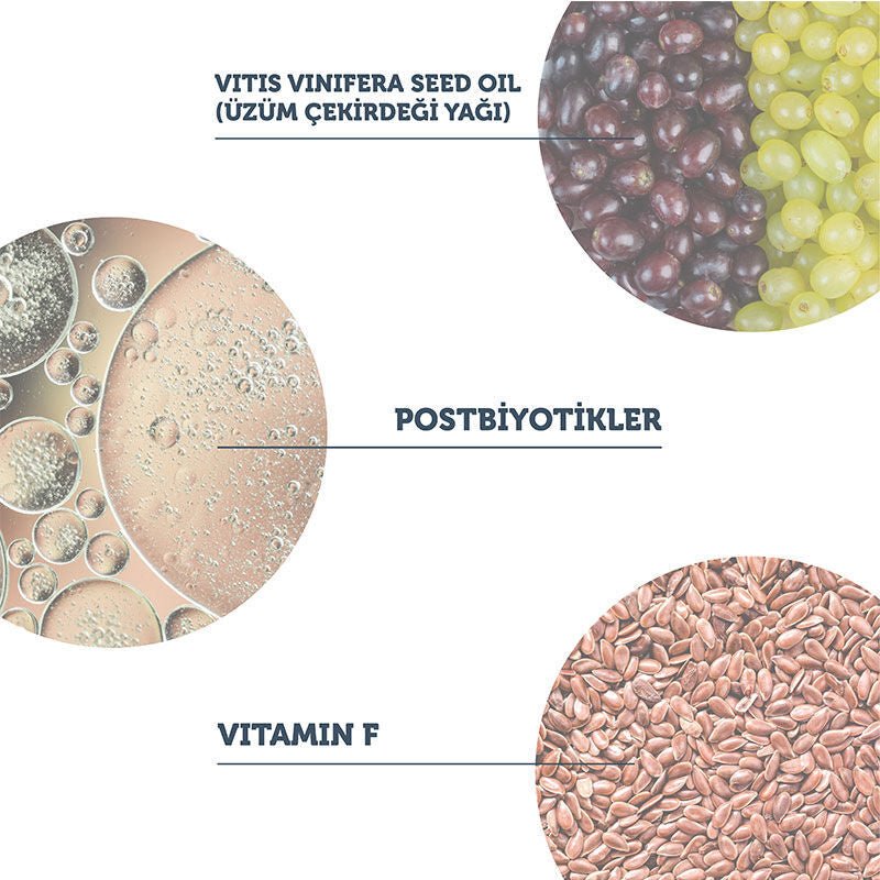 Purifying Oil Cleanser - Postbiotic & Macadamia Double Cleanse - TryAladdin