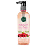 Raspberry Vinegar & Super Shampoo - Shine, Volume & Frizz Control - TryAladdin