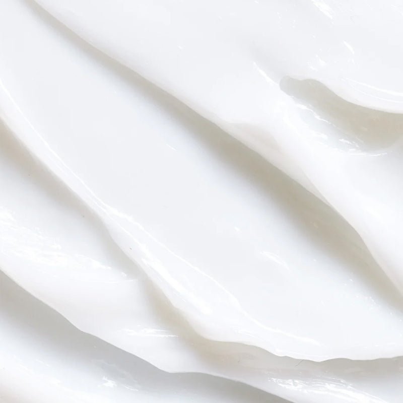 Repairing Prebiotic Hair Conditioner with Organic Jojoba Oil - TryAladdin