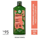 Repairing Prebiotic Shampoo - Organic Jojoba & Agave for Damaged Hair - TryAladdin
