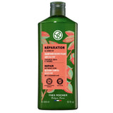 Repairing Prebiotic Shampoo - Organic Jojoba & Agave for Damaged Hair - TryAladdin