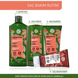Repairing Prebiotic Shampoo - Organic Jojoba & Agave for Damaged Hair - TryAladdin
