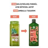 Repairing Prebiotic Shampoo - Organic Jojoba & Agave for Damaged Hair - TryAladdin