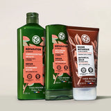 Repairing Prebiotic Shampoo - Organic Jojoba & Agave for Damaged Hair - TryAladdin