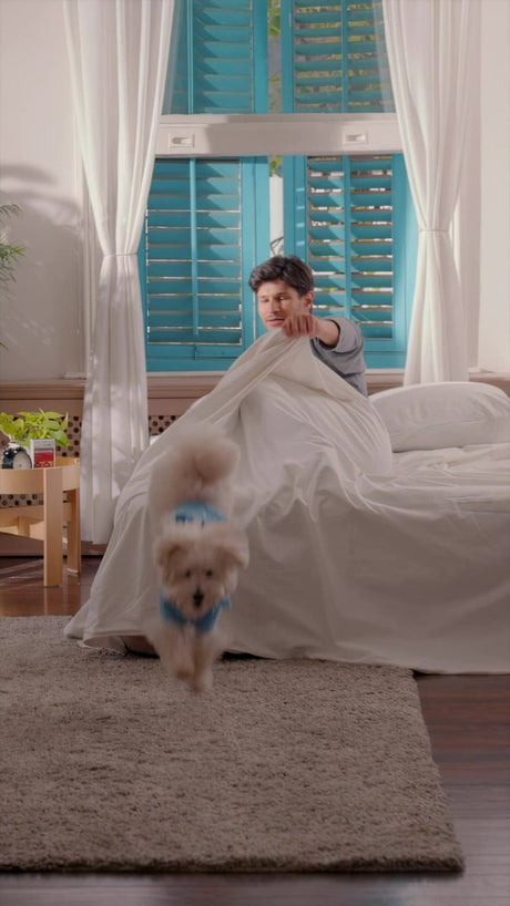 Resveratrol & Antioxidant Complex - 60 Vegetarian Capsules - TryAladdin