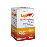 Rhodiola Rosea Ginkgo Biloba Complex - Energy & Focus Support Herbal Capsules - TryAladdin