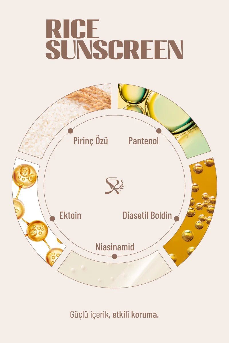 Rice Extract Sunscreen - Hydrating & Brightening UVA/UVB Protection - TryAladdin