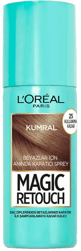Root Concealer Spray - Instant Gray Coverage for Brunettes - TryAladdin