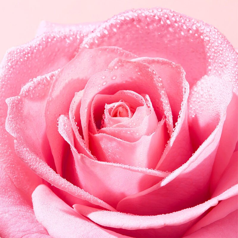 Rose Infused Facial Cleansing Foam - Gentle & Hydrating - TryAladdin