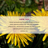 Safflower Seed Oil - Antioxidant & Hydrating Face & Body Oil - TryAladdin