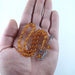 Selderesi | Mini Size Fire Amber Tasbih Selderesi Prayer Beads