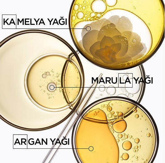 Shampoo - Marula & Camellia Oil for Radiant Shine & Nourishment - TryAladdin