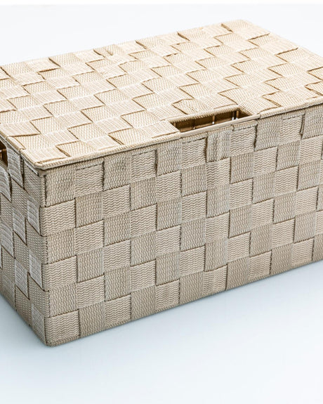 Professional Beige Lidded Storage Box - Versatile Home Organization
