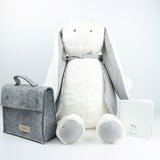 Soft Plush Developmental Toy - Sleep Companion & Motor Skill Support All Ages - TryAladdin