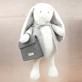 Soft Plush Developmental Toy - Sleep Companion & Motor Skill Support All Ages - TryAladdin