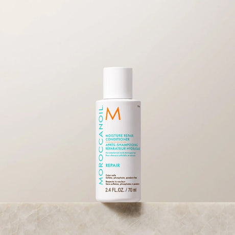 Strengthening Hair Conditioner - Argan Oil & Keratin Detangling Formula - TryAladdin