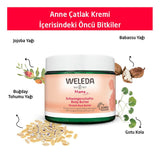 Stretch Mark Care Cream - Hydrating & Softening Organic Plant Extracts - TryAladdin