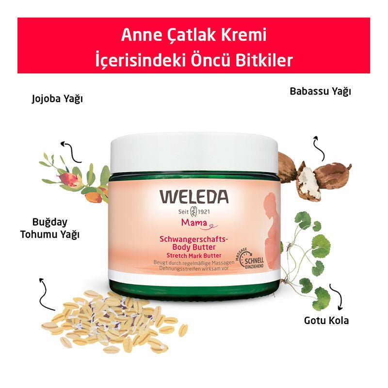 Stretch Mark Care Cream - Hydrating & Softening Organic Plant Extracts - TryAladdin