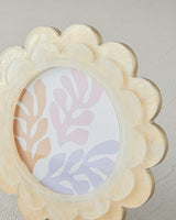 Professional Turkish Taylor Blend Dessert Cream
