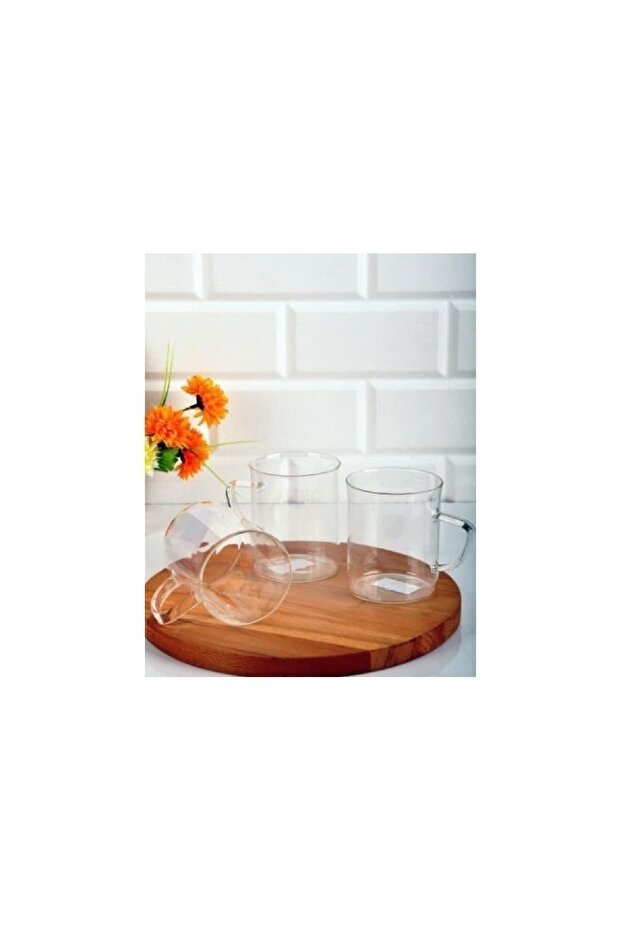 Thermisil Borosilicate Heat - Resistant Glass Mug Cups - 6 - Piece Set - TryAladdin