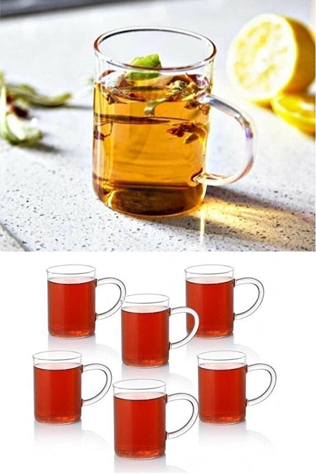 Thermisil Borosilicate Heat - Resistant Glass Mug Cups - 6 - Piece Set - TryAladdin