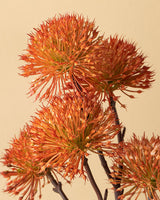 Premium Artificial Orange Thorn Onion Flower - Single Stem