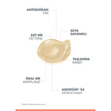 Tinted Sunscreen - Anti - Aging SPF 50+ with Antioxidant Complex - TryAladdin