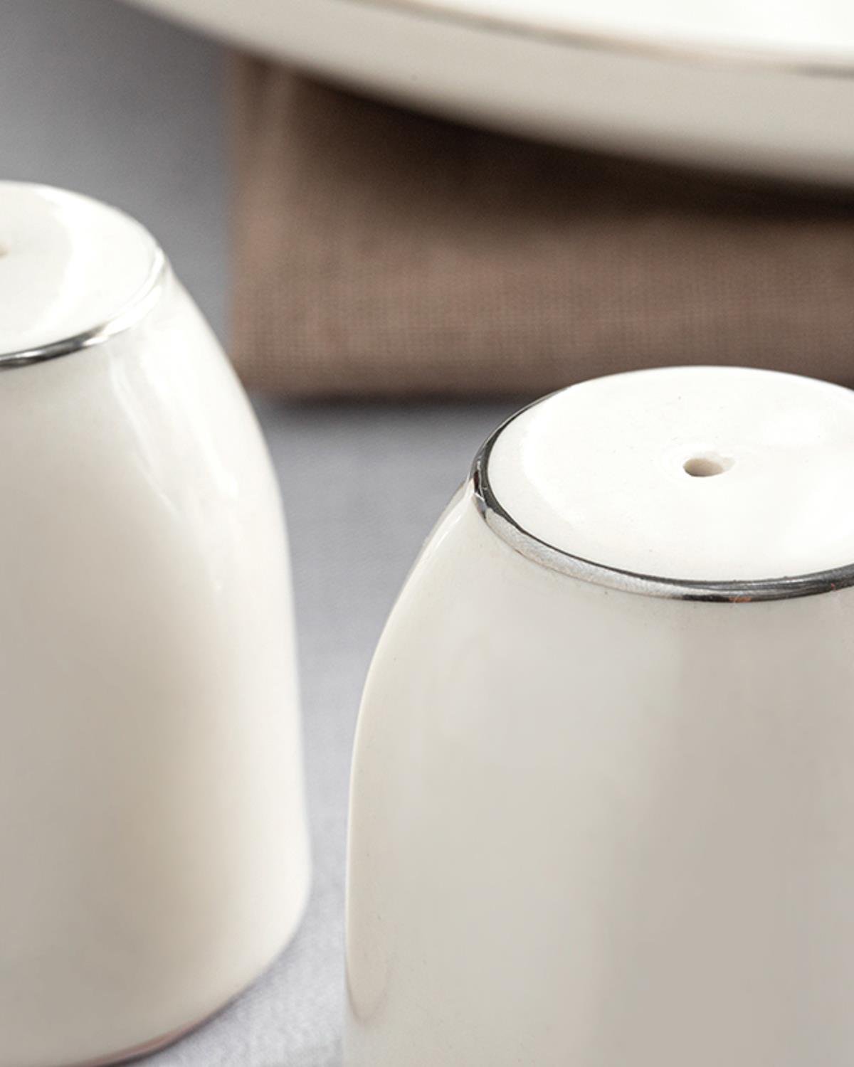 Premium Porcelain Salt Pepper Shaker Set   Silver Finish