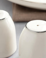 Premium Porcelain Salt Pepper Shaker Set   Silver Finish