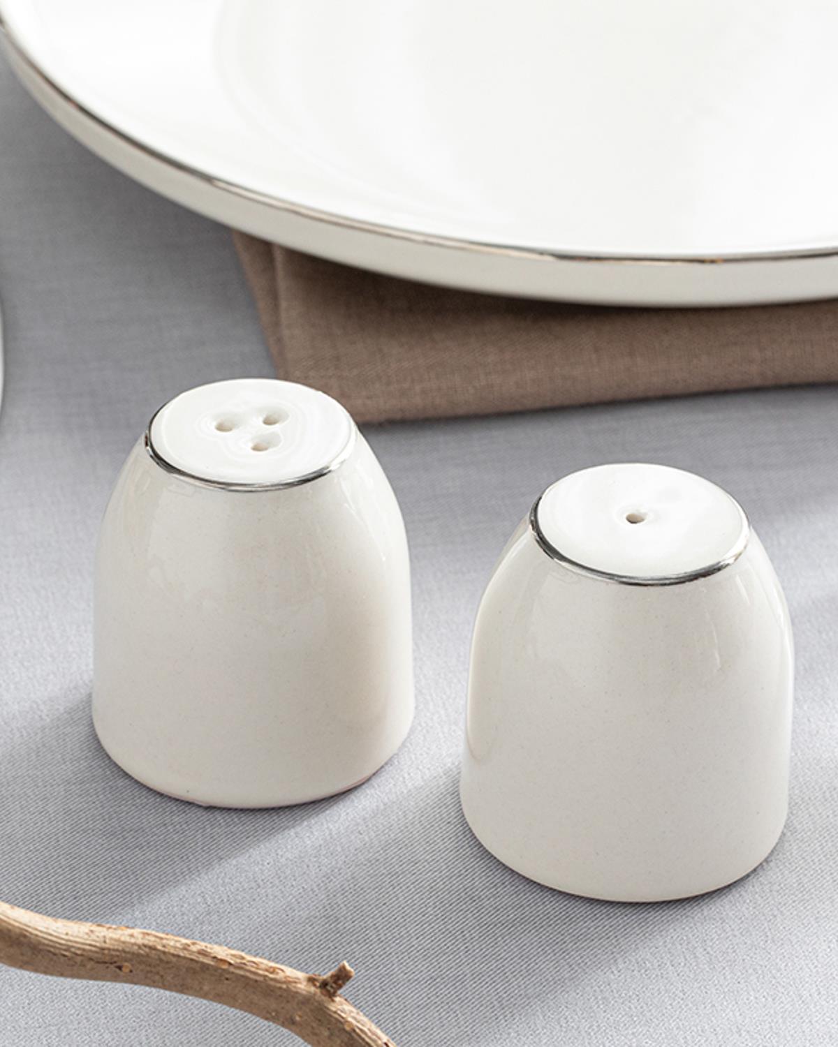 Premium Porcelain Salt Pepper Shaker Set   Silver Finish