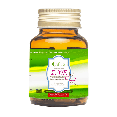 Turmeric, Ginger & Botanical Blend - Herbal Wellness Support Capsules - TryAladdin