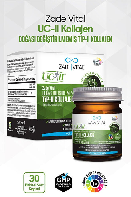 Type 2 Collagen Supplement - 30 Herbal Hard Capsules - TryAladdin