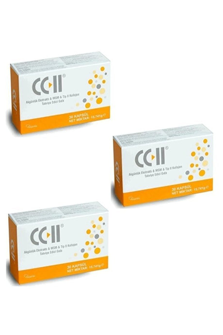 Type II Collagen Supplement - 30 Capsules x 3 Pack - TryAladdin