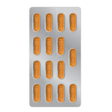 Vegan Probiotic & Chicory Fiber - Digestive Wellness Capsules - TryAladdin