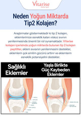 Vitarise Hydrolyzed Collagen Peptides Powder - Type 1, 2, 3 - 450g - TryAladdin