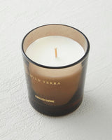 Premium Aromatic Wild Terra Scented Candle
