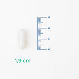 Zinc Supplement - Essential Mineral Support Capsules - TryAladdin